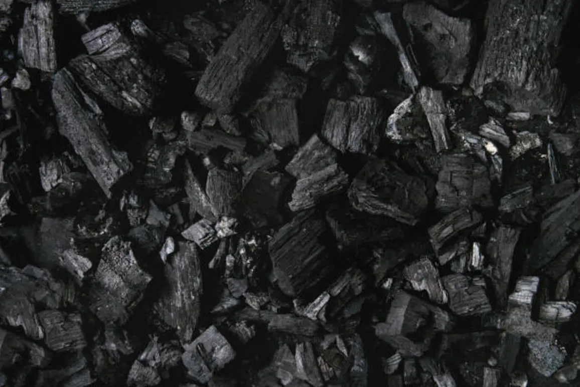 activated carbon